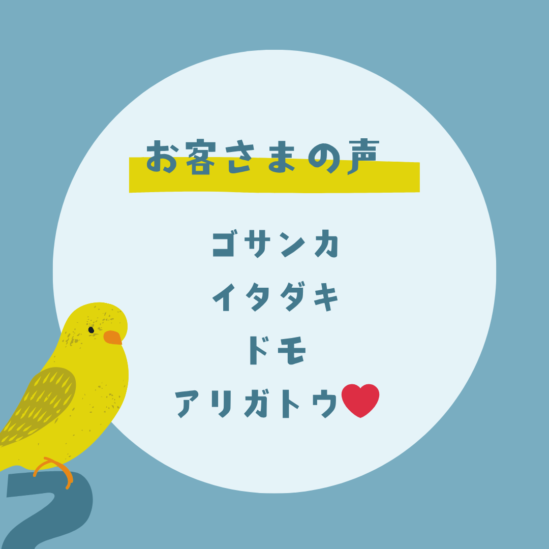 6̂b̊z
