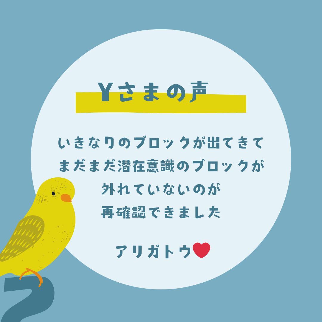 6月tent3 6月tent3
